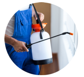 Pest & Fumigation Services