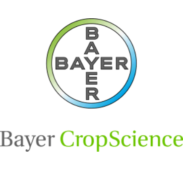 Bayer